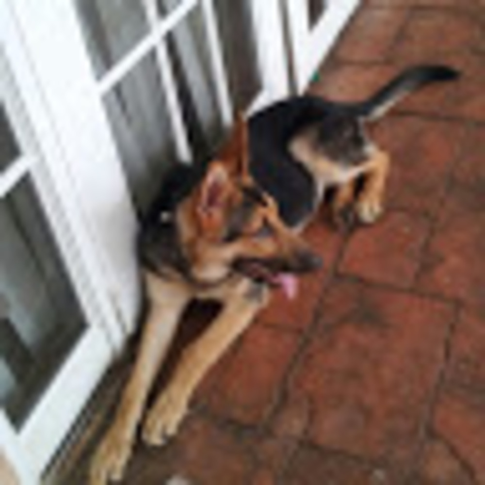 Meet your Posher, Rebecca